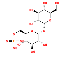 O=P(O)(O)OC[C@H]1O[C@H](O[C@H]2O[C@H](CO)[C@@H](O)[C@H](O)[C@H]2O)[C@H](O)[C@@H](O)[C@@H]1O