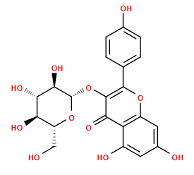 O=c1c(O[C@@H]2O[C@H](CO)[C@@H](O)[C@H](O)[C@H]2O)c(-c2ccc(O)cc2)oc2cc(O)cc(O)c12