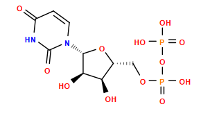 O=c1ccn([C@@H]2O[C@H](COP(=O)(O)OP(=O)(O)O)[C@@H](O)[C@H]2O)c(=O)[nH]1