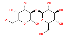 OC[C@H]1O[C@@H](O[C@@H]2[C@@H](O)[C@@H](O)[C@@H](CO)O[C@H]2O)[C@H](O)[C@@H](O)[C@@H]1O