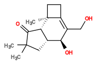 Subst // Subst = SMILES [H][C@@]13CC(C)(C)C(=O)[C@]1([H])[C@@]/2(C)CCC2=C(CO)\[C@H]3O