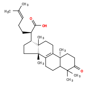 Subst // Subst = SMILES C/C(C)=C\CC[C@@H](C(=O)O)[C@H]1CC[C@@]2(C)/C4=C(CC[C@]12C)/[C@@]3(C)CCC(=O)C(C)(C)C3CC4