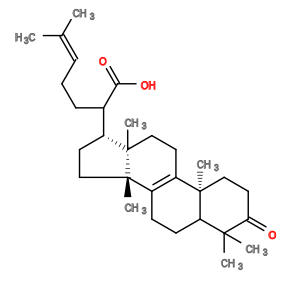 Subst // Subst = SMILES C/C(C)=C\CCC(C(=O)O)[C@H]1CC[C@@]2(C)/C4=C(CC[C@]12C)/[C@@]3(C)CCC(=O)[C@](C)(C)C3CC4