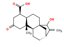 Subst // Subst = SMILES C=C([C@H](CC1)C2)C(O)[C@@]32CC[C@]4([H])[C@H](C(O)=O)CC(C[C@@]4(C)[C@@]31[H])=O