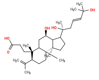 Subst // Subst = SMILES C=C(C)[C@@H]3CC[C@]2(C)C(C[C@@H](O)C1C([C@@](C)(O)C/C=C/C(C)(C)O)CC[C@]12C)[C@@]3(C)CCC(=O)O
