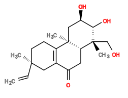 Subst // Subst = SMILES C=C[C@@]1(C)CC/C2=C(C1)/C(=O)C[C@@H]3[C@]2(C)C[C@@H](O)[C@H](O)[C@]3(C)CO