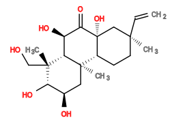 Subst // Subst = SMILES C=C[C@@]3(C)CC[C@@H]2[C@@]1(C)C[C@@H](O)[C@H](O)[C@](C)(CO)[C@@H]1[C@@H](O)C(=O)[C@@]2(O)C3