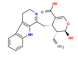 Subst // Subst = SMILES C=C[C@@H]1[C@@H](C(C(O)=O)=CO[C@H]1O)CC2=NCCc(c2[nH]3)c4c3cccc4