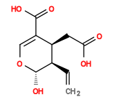 Subst // Subst = SMILES C=C[C@@H]1[C@H](CC(O)=O)C(C(O)=O)=CO[C@H]1O
