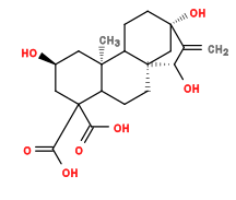 Subst // Subst = SMILES C=C3[C@H](O)[C@@]24CCC1[C@@](C)(C[C@H](O)C[C@@]1(C(=O)O)C(=O)O)C2CC[C@]3(O)C4