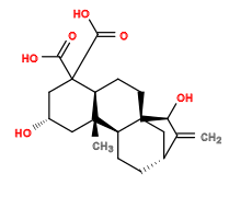 Subst // Subst = SMILES C=C4[C@@H]3CC[C@H]2[C@]1(C)C[C@H](O)C[C@@](C(=O)O)(C(=O)O)[C@H]1CC[C@]2(C3)[C@H]4O