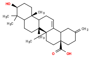 Subst // Subst = SMILES C=C5CC[C@]4(C(=O)O)CC[C@]3(C)/C(=C\CC2[C@@]1(C)CC[C@H](O)[C@](C)(C)C1CC[C@]23C)C4C5