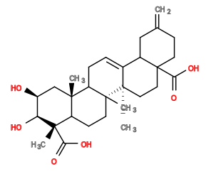 Subst // Subst = SMILES C=C5CCC4(C(=O)O)CC[C@]3(C)/C(=C\CC2[C@@]1(C)C[C@H](O)[C@H](O)[C@@](C)(C(=O)O)C1CC[C@]23C)C4C5