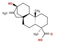 Subst // Subst = SMILES C[C@@]1(C(O)=O)CCC[C@]2(C)[C@H]1CC[C@]3(C4)[C@@]2([H])CC[C@@](O)(C4=C)C3