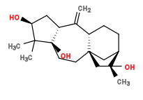 Subst // Subst = SMILES C[C@@]1(O)C[C@@]23CC[C@@]4(O)[C@@H](C([C@@H]2CC[C@@H]1C3)=C)C[C@H](O)C4(C)C