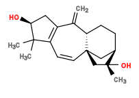 Subst // Subst = SMILES C[C@@]1(O)C[C@]23C[C@H]1CC[C@H]2C(C4=C(C(C)(C)[C@@H](O)C4)C=C3)=C