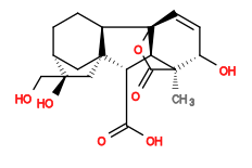 Subst // Subst = SMILES C[C@@]12[C@@H](O)C=C[C@]3(OC2=O)[C@@H]1[C@H](C(O)=O)[C@]45[C@H]3CC[C@@H]([C@@](C5)(O)CO)C4