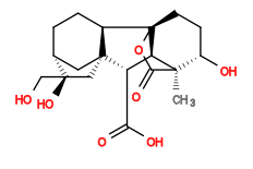 Subst // Subst = SMILES C[C@@]12[C@@H](O)CC[C@]3(OC2=O)[C@@H]1[C@H](C(O)=O)[C@]45[C@H]3CC[C@@H]([C@@](C5)(O)CO)C4