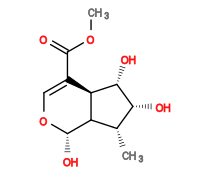 Subst // Subst = SMILES C[C@@H]1[C@@H]2[C@@H](C(C(OC)=O)=CO[C@H]2O)[C@H](O)[C@@H]1O