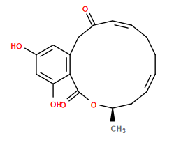 Subst // Subst = SMILES C[C@@H]1C/C=C/CC/C=C/C(CC2=C(C(O1)=O)C(O)=CC(O)=C2)=O