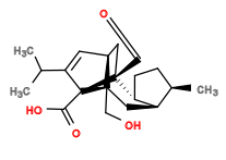Subst // Subst = SMILES C[C@@H]1CC[C@@H]2[C@@H]1C[C@]3(CO)[C@@H]4C[C@@]2(C=O)[C@@]3(C(O)=O)C(C(C)C)=C4