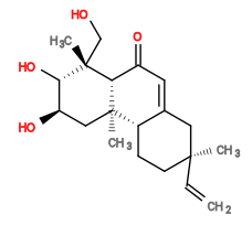 Subst // Subst = SMILES C[C@]1(C=C)CC[C@H]2C(C1)=CC([C@@H]3[C@]2(C)C[C@@H](O)[C@H](O)[C@@]3(CO)C)=O