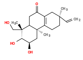 Subst // Subst = SMILES C[C@]1(C=C)CCC([C@@](C[C@H]([C@H](O)[C@]2(C)CO)O)(C2CC3=O)C)=C3C1