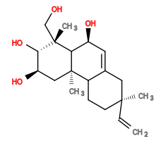 Subst // Subst = SMILES C[C@]1(C=C)CCC2[C@@](C[C@H]([C@H](O)[C@]3(C)CO)O)(C3[C@H](C=C2C1)O)C