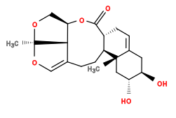Subst // Subst = SMILES C[C@]12C[C@@H](O)[C@H](O)CC1=CC[C@H]1C(=O)O[C@@H]3CO[C@]4(C)OC=C(CC[C@@H]12)[C@H]34