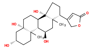Subst // Subst = SMILES C[C@]12CC[C@H](O)C[C@@]1(O)CC[C@@H]3[C@@H]2[C@H](O)C[C@@]4(C)[C@]3(O)CC[C@@H]4C5=CC(OC5)=O