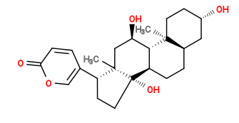 Subst // Subst = SMILES C[C@]12CC[C@H](O)C[C@H]1CC[C@@H]3[C@@H]2[C@H](O)C[C@@]4(C)[C@]3(O)CC[C@@H]4C5=COC(C=C5)=O