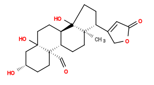 Subst // Subst = SMILES C[C@]12CC[C@H]3[C@@H](CC[C@@]4(O)[C@]3(C=O)CC[C@H](O)C4)[C@@]1(O)CC[C@@H]2C5=CC(OC5)=O