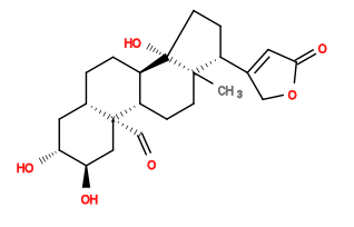 Subst // Subst = SMILES C[C@]12CC[C@H]3[C@H]([C@]1(CC[C@@H]2C4=CC(OC4)=O)O)CC[C@H]5C[C@H]([C@@H](C[C@]35C=O)O)O