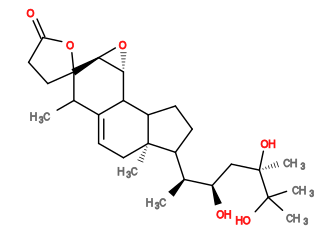 Subst // Subst = SMILES C[C@H]([C@H](O)C[C@@](C)(O)C(C)(C)O)C1CCC2C5/C(=C\C[C@]12C)C(C)C3(CCC(=O)O3)[C@H]4O[C@@H]45