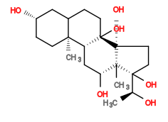 Subst // Subst = SMILES C[C@H](O)[C@]1(O)CC[C@@]2(O)[C@]1(C)[C@H](O)C[C@H]3[C@@]2(O)CCC4[C@]3(C)CC[C@H](O)C4