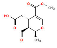 Subst // Subst = SMILES C[C@H]1[C@@H](C=O)[C@H](CC(O)=O)C(C(OC)=O)=CO1