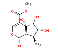 Subst // Subst = SMILES C[C@H]1[C@H]2[C@H](O)OC=C(C(OC)=O)[C@@]2(O)[C@H](O)[C@@H]1O