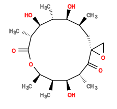 Subst // Subst = SMILES C[C@H]2C[C@@]1(CO1)C(=O)[C@H](C)[C@@H](O)[C@@H](C)[C@@H](C)OC(=O)[C@H](C)[C@@H](O)[C@H](C)[C@H]2O