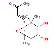 Subst // Subst = SMILES CC(/C=C/[C@]12C(C)(C)[C@H](O)[C@H](O)C[C@@]1(C)O2)=O