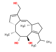 Subst // Subst = SMILES CC(C)/C3=C/2[C@@H](O)[C@H](O)[C@H](C)[C@@H]/1C/C=C(CO)\C1=C\[C@@]2(C)CC3