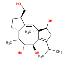 Subst // Subst = SMILES CC(C)/C3=C/2[C@@H](O)[C@H](O)[C@H](C)[C@@H]/1CC[C@@H](CO)C1=C\[C@@]2(C)[C@@H](O)C3