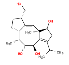 Subst // Subst = SMILES CC(C)/C3=C/2[C@@H](O)[C@H](O)[C@H](C)[C@@H]/1CC[C@H](CO)C1=C\[C@@]2(C)[C@@H](O)C3