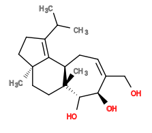 Subst // Subst = SMILES CC(C)/C3=C/2[C@H]1C/C=C(CO)\[C@@H](O)[C@H](O)[C@]1(C)CC[C@@]2(C)CC3