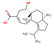 Subst // Subst = SMILES CC(C)/C3=C/2\C1=C\C=C(C(=O)O)/C[C@H](O)[C@]1(C)CC[C@@]2(C)CC3