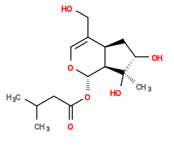 Subst // Subst = SMILES CC(C)CC(O[C@H]1[C@@]2([H])[C@@](C[C@H](O)[C@]2(O)C)([H])C(CO)=CO1)=O