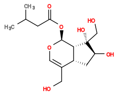 Subst // Subst = SMILES CC(C)CC(O[C@H]1[C@@]2([H])[C@@](C[C@H](O)[C@]2(O)CO)([H])C(CO)=CO1)=O