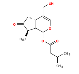 Subst // Subst = SMILES CC(C)CC(O[C@H]1[C@@]2([H])[C@@](CC([C@@H]2C)=O)([H])C(CO)=CO1)=O