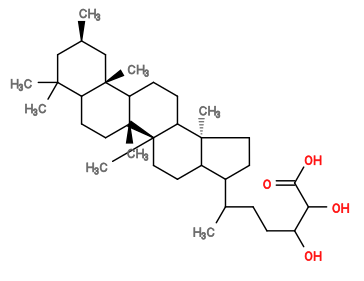 Subst // Subst = SMILES CC(CCC(O)C(O)C(O)=O)C1C2CC[C@@]3(C)[C@]4(C)CCC5C(C)(C)C[C@@H](C)C[C@]5(C)C4CCC3[C@@]2(C)CC1