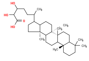 Subst // Subst = SMILES CC(CCC(O)C(O)C(O)=O)C1C2CC[C@@]3(C)[C@]4(C)CCC5C(C)(C)CCC[C@]5(C)C4CCC3[C@@]2(C)CC1