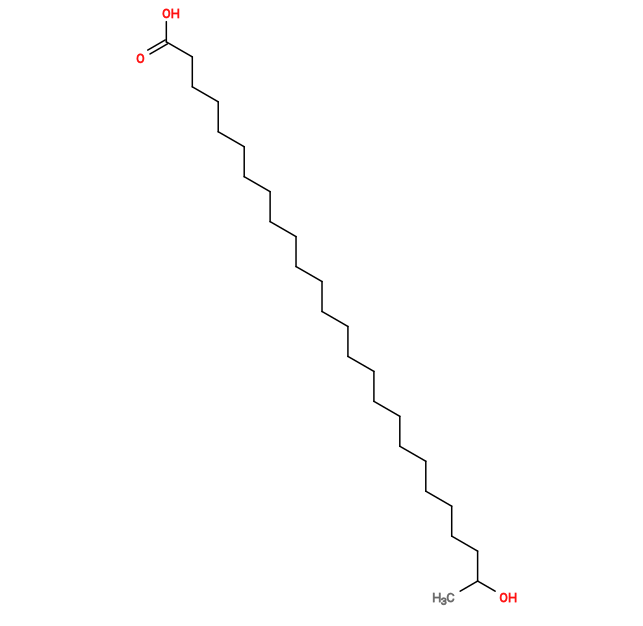 Subst // Subst = SMILES CC(O)CCCCCCCCCCCCCCCCCCCCCCCC(O)=O